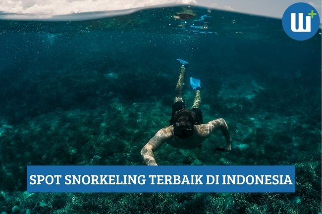 Spot Snorkeling Terbaik di Indonesia, Wajib Datang!